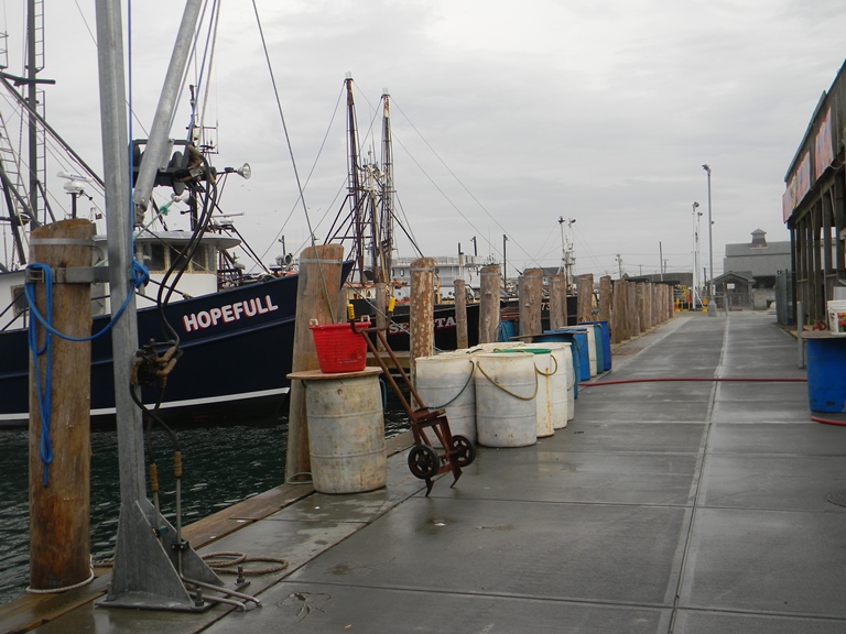 Rehabbed Docks at the Port of Galilee