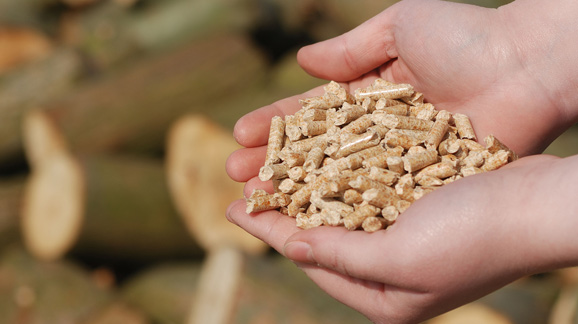 Wood Pellets produced at the Waycross-Ware County Industrial Park
