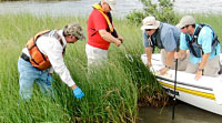 Gulf Restoration Efforts