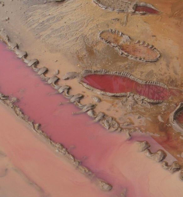 Footprints and tire tracks in mud