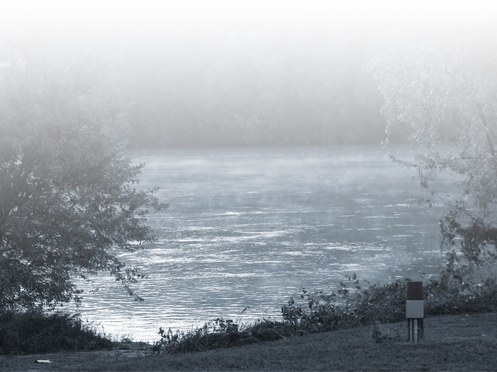 At the river's edge, with thick trees and vegetation on the far bank