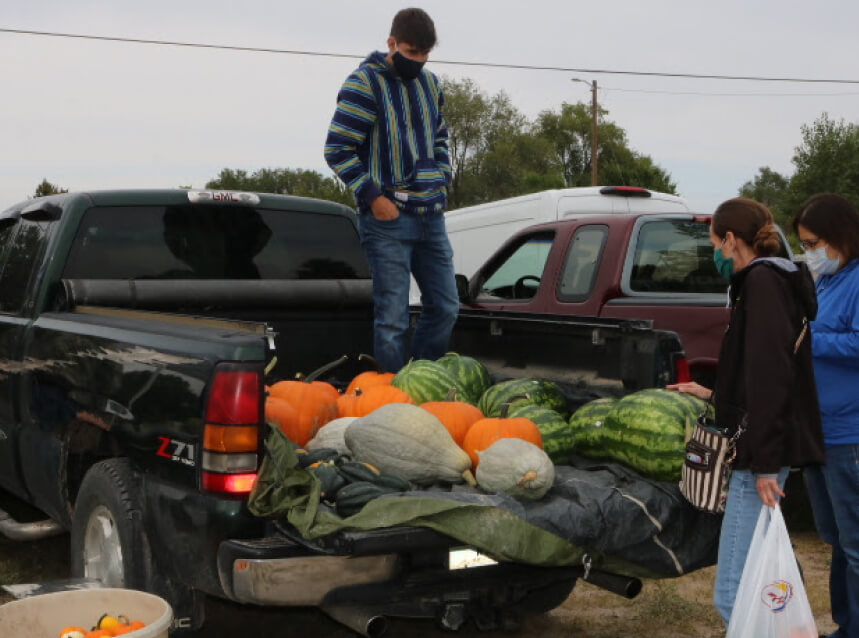 People wearing masks look at watermelons, pumpkins, and squash on the back of a truck at a farmers' market