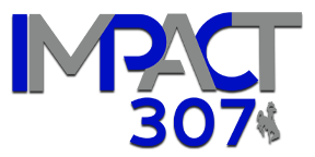 Impact 307 logo