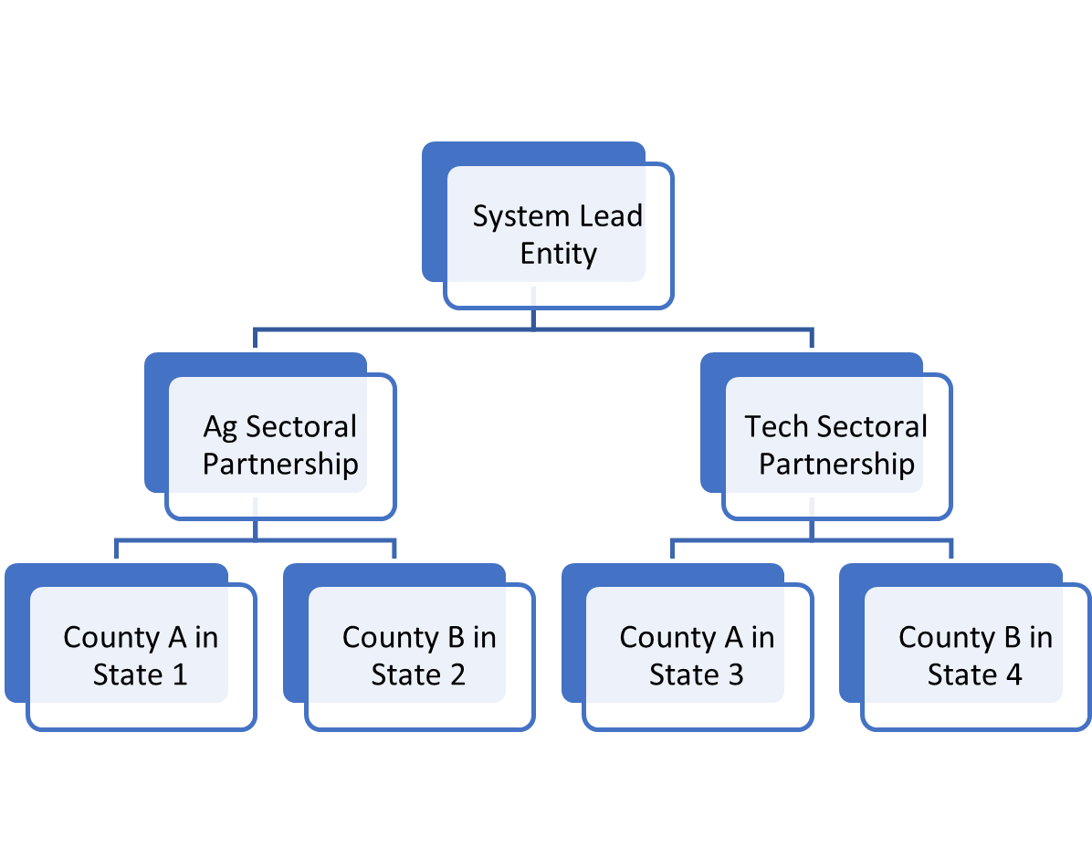 General information about each type of entity