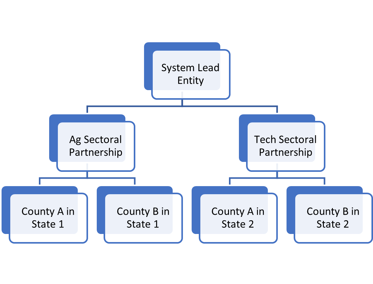 General information about each type of entity