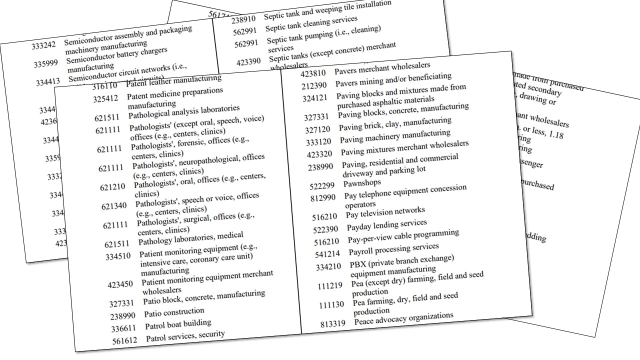 North American Industry Classification System 6 digit codes