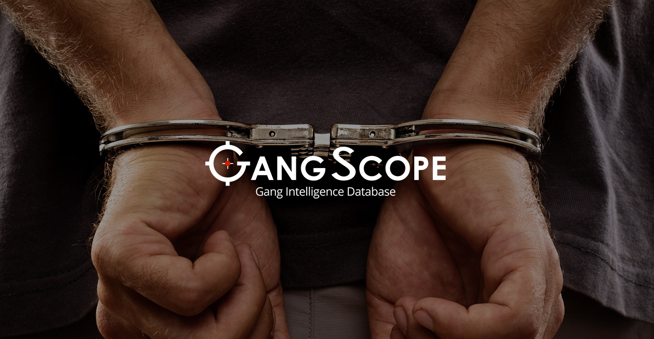 Photo 3 - Gangscope Caption below