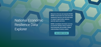Screenshot of NERDE tool