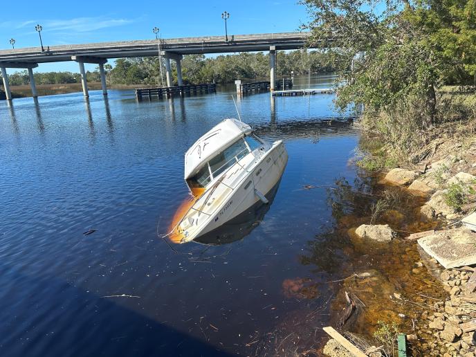 Steinhatchee/Taylor County, FL