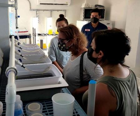 Assistant Secretary Castillo tours the conch lab at Conservacion Consciencia.