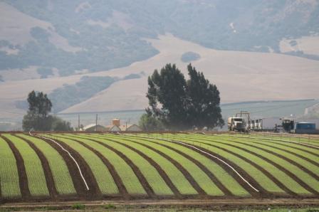 California is the United States’ largest food-producing state.