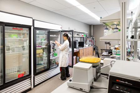 The Phase III building at KU Innovation Park features in-demand wet lab space.