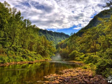 The PA Wilds is home to 16,000 miles of streams and rivers and many Class A trout streams.