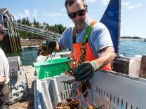 Photo of a man with lobster